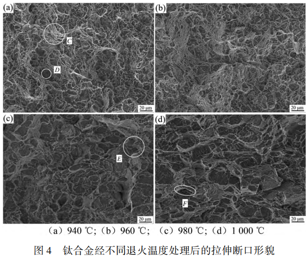 填補單相區退火研究空白：TC11鈦合金棒經不同溫度退火處理后的微觀組織（α相/β相）演變機制、拉伸性能（屈服強度/抗拉強度/斷面收縮率）變化規律及斷口斷裂機制的耦合分析與工藝精準調控建議