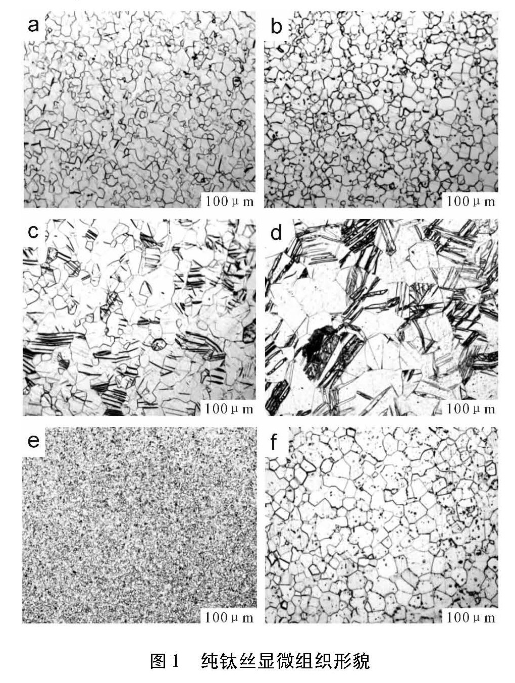 1614490212651575.jpg a3.jpg