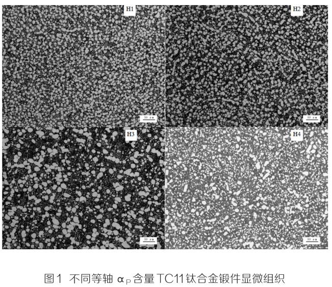 1701210580174244.jpg t1.jpg