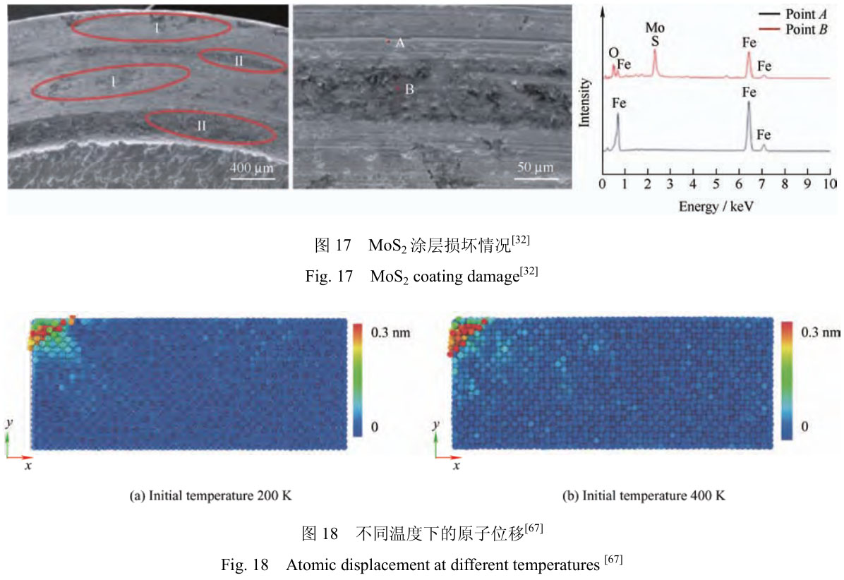 1706095637711947.jpg t17.jpg