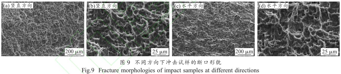 1706191563213962.jpg t9.jpg