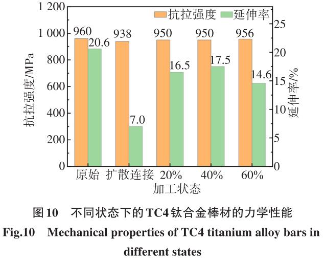 1700449119187880.jpg t10.jpg