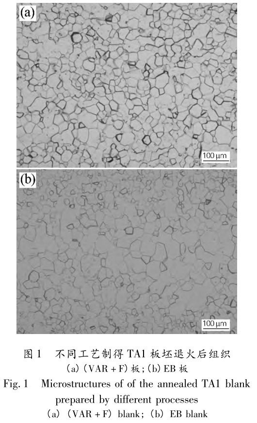 1721378517679130.jpg t1.jpg