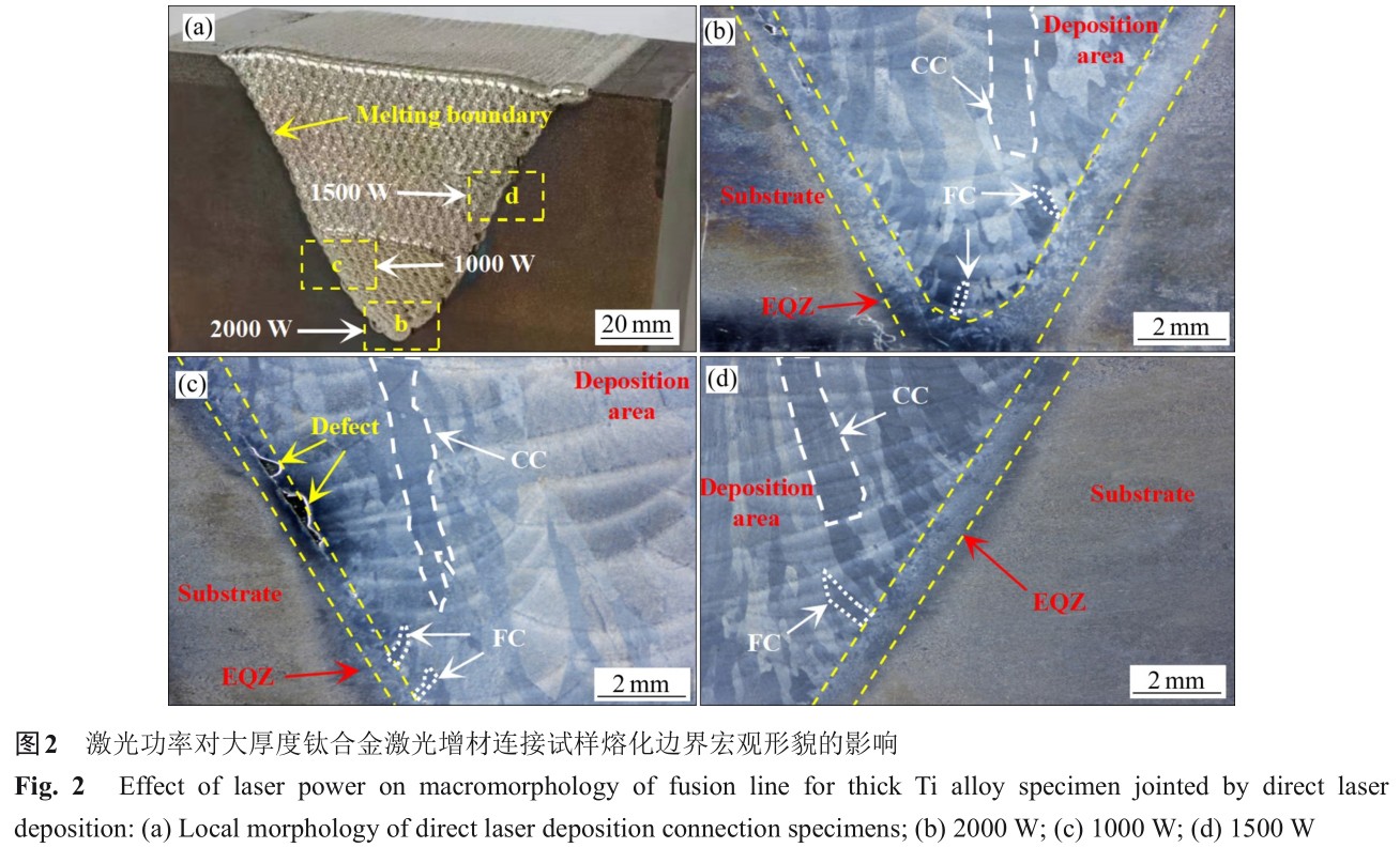 1725354886495878.jpg t2.jpg