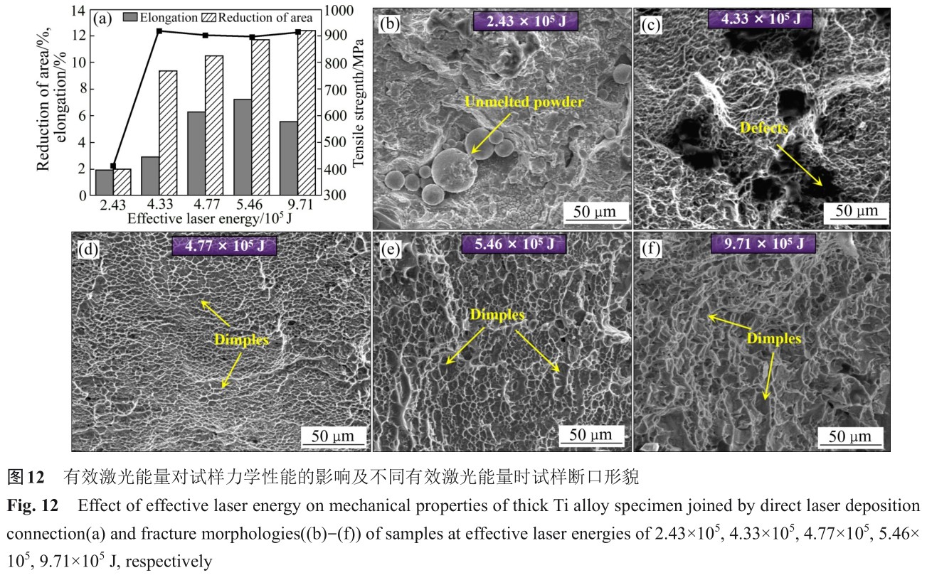 1725355030715126.jpg t12.jpg