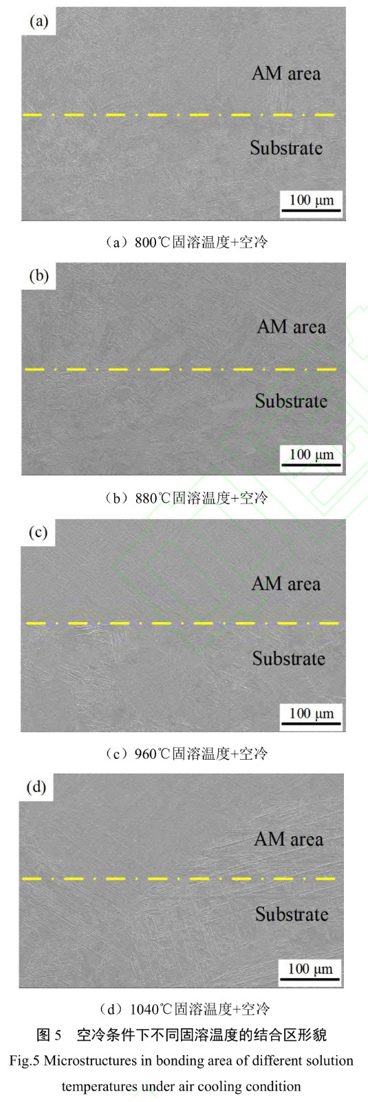 1727840805779102.jpg t5.jpg