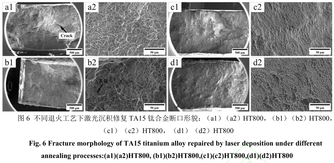 1729342729325761.jpg 6.jpg