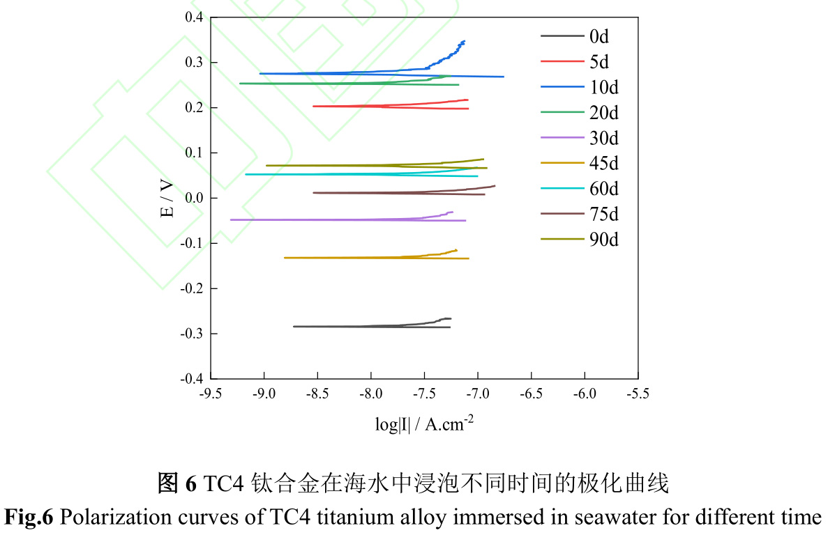 1734944905210578.jpg 6.jpg