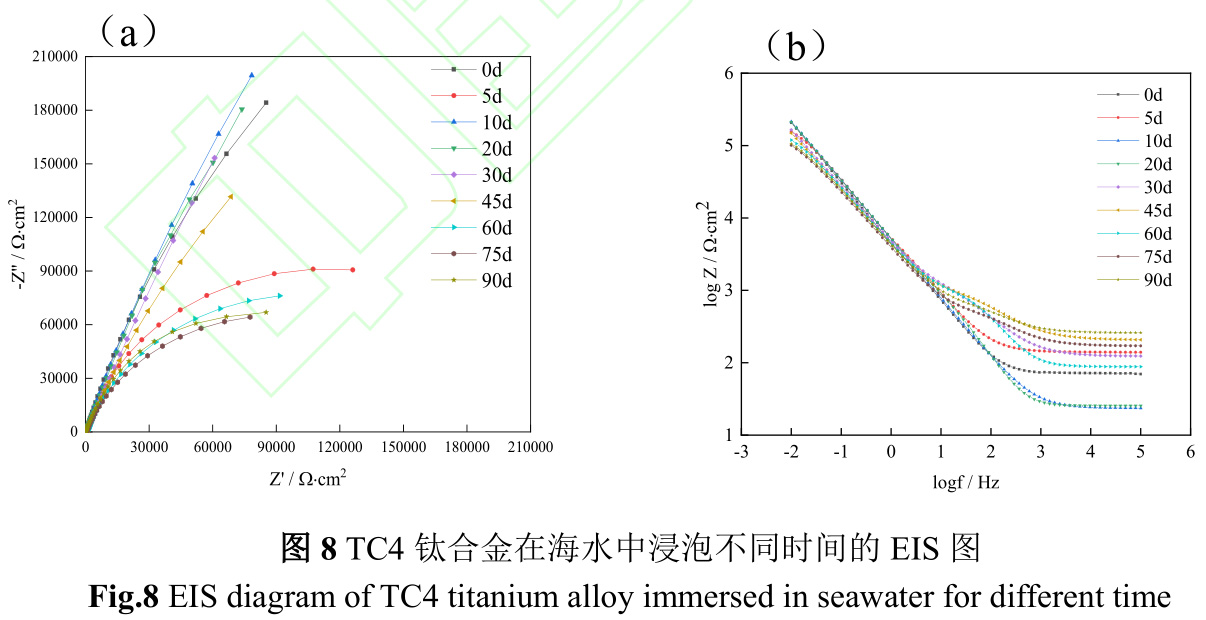 1734944928508784.jpg 8.jpg