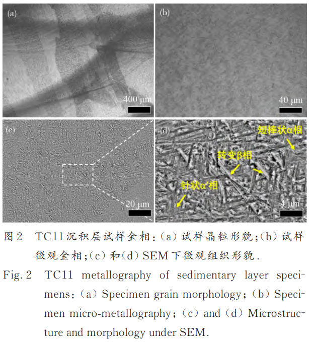 1768204947773874.png 截圖20260112113257.png