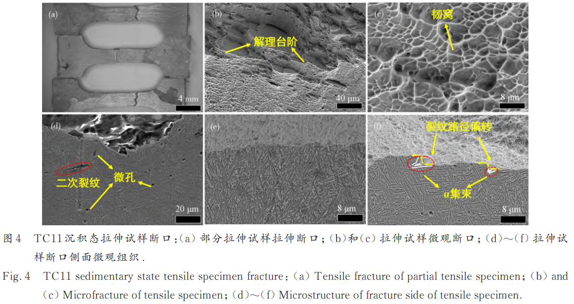 1768204969559706.png 截圖20260112113344.png