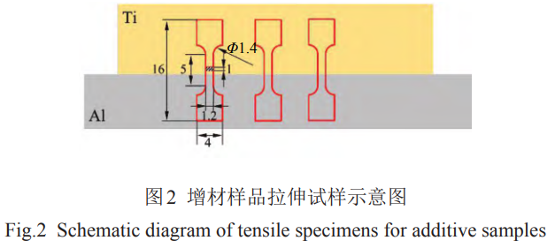 1768208721830836.png 2.png