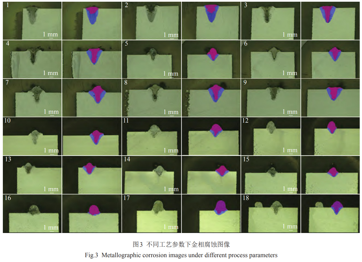 1768208780966836.jpg 3.jpg