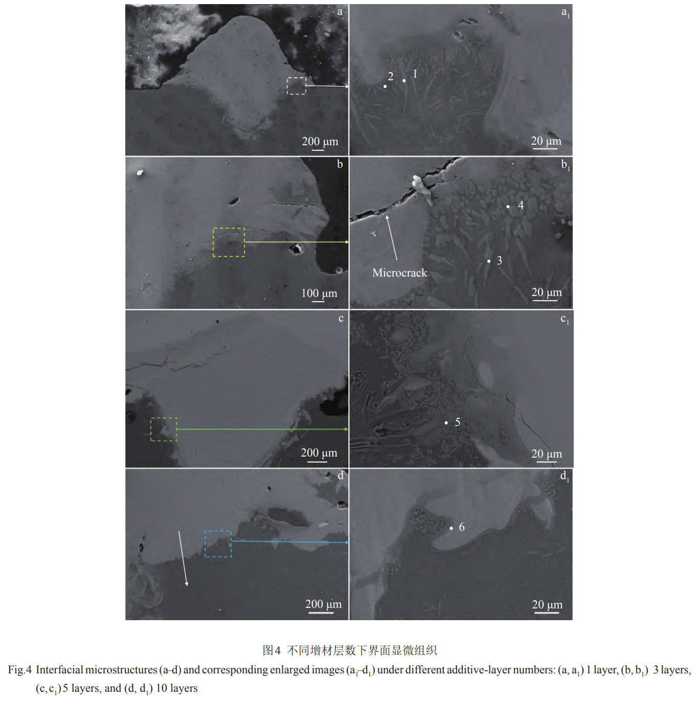 1768208806954950.jpg 4.jpg