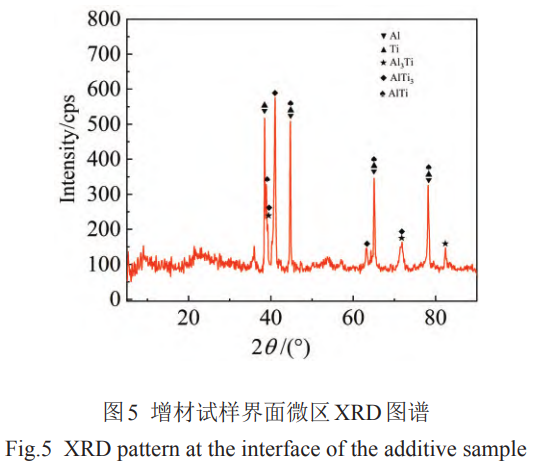 1768208815168596.png 5.png