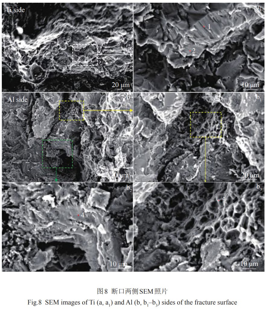 1768208842202467.jpg 8.jpg