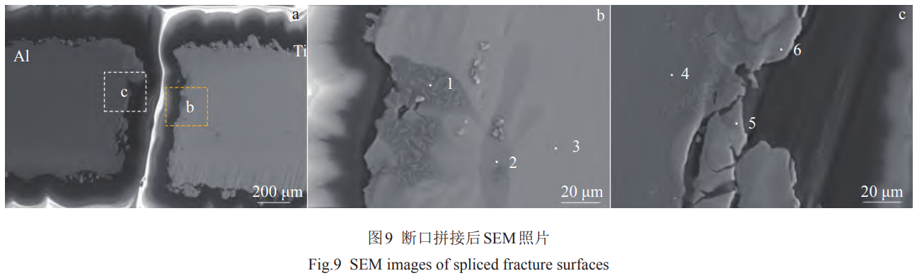 1768208851176010.png 9.png