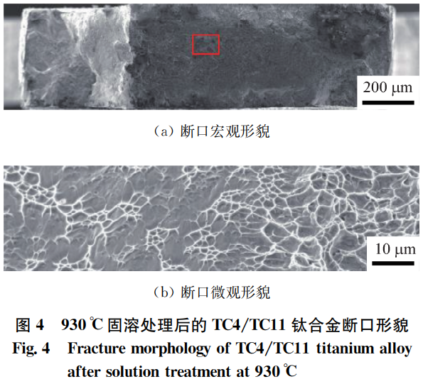 1768220472736118.png 截圖20260112173542.png