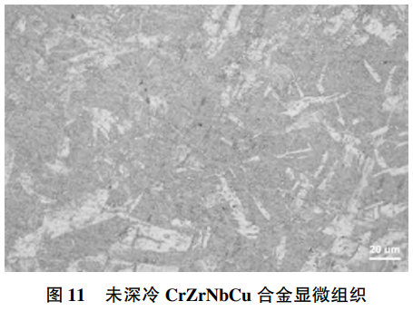 1769310915881552.png 11.png